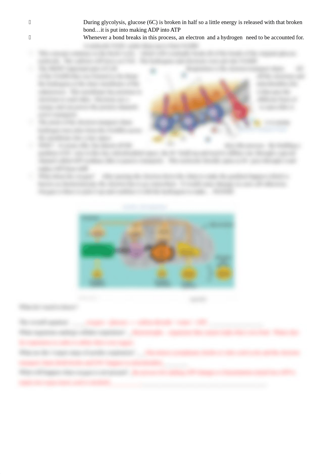 14-15 Keystone Review Packet Anchor 3 ANSWERS.docx_d527zusj5zz_page3