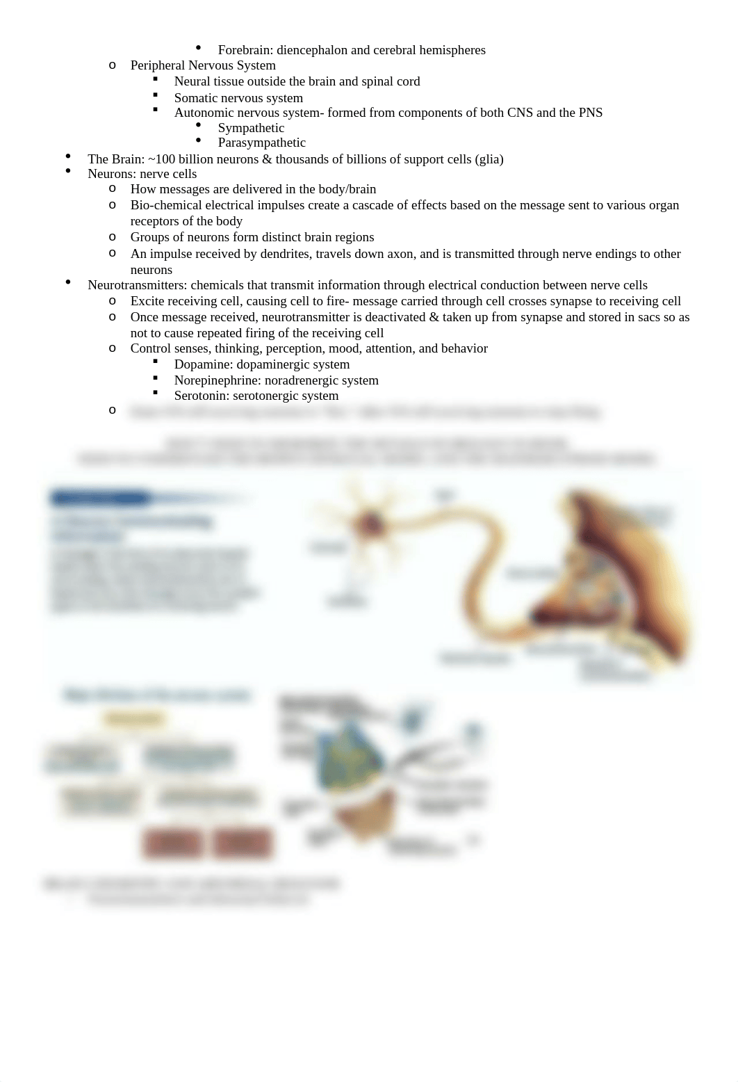 Introduction to Theories.docx_d52c5in3unj_page2