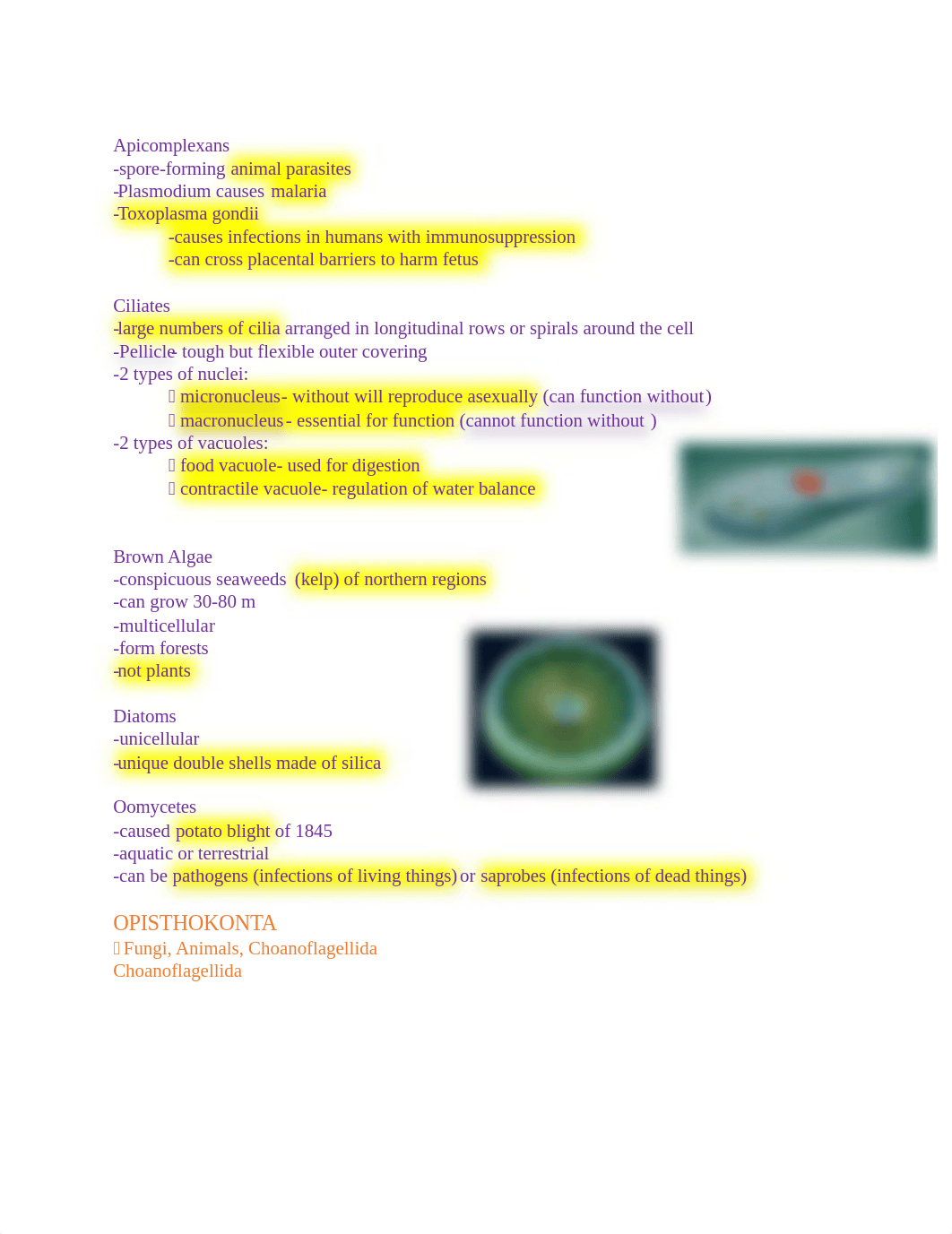 Bio 110- Test 1 Study Guide_d52hr1h4c1d_page3