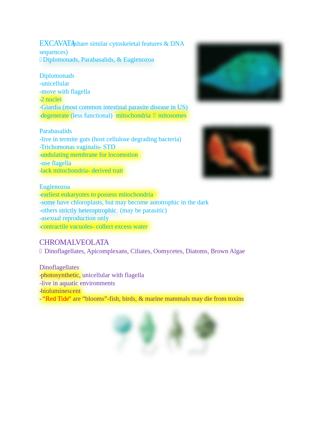 Bio 110- Test 1 Study Guide_d52hr1h4c1d_page2