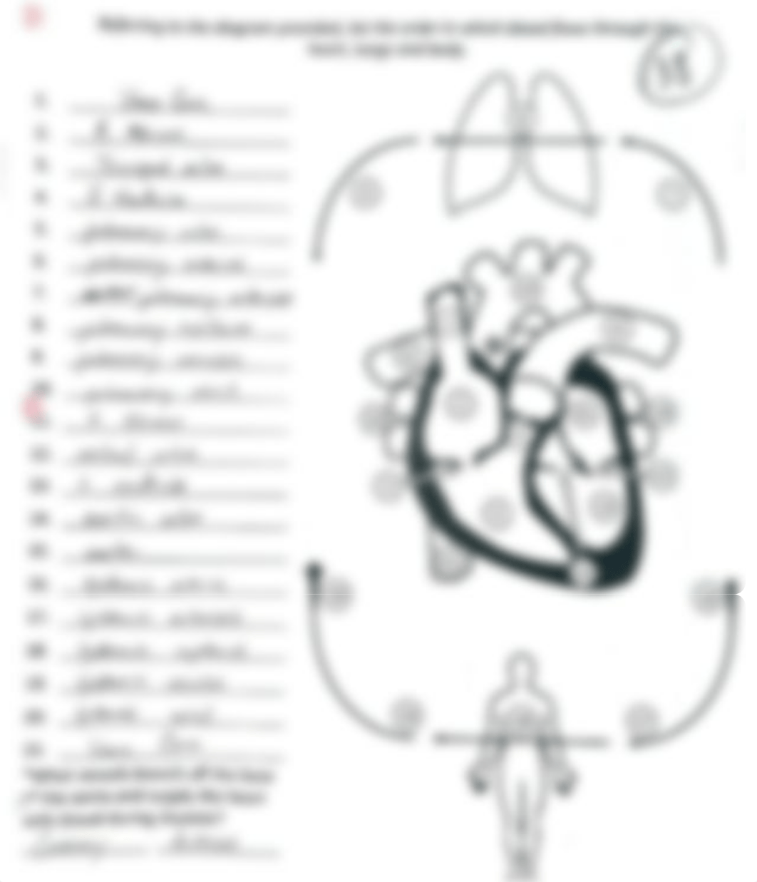 The 21 Steps of Circulation.pdf_d52ieuvwcm3_page1