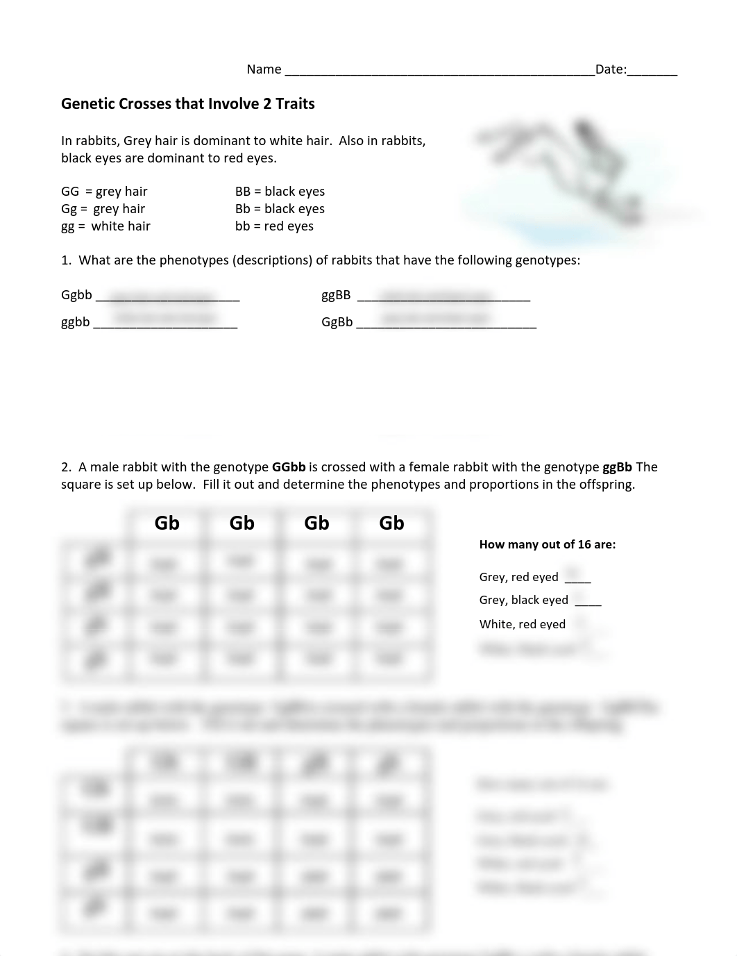 Practice - two traits (Bio2).pdf_d52kojq1w6b_page1