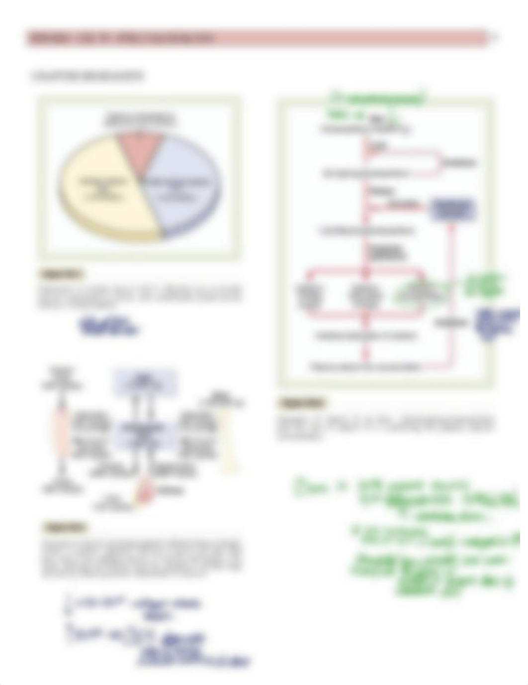 Physio - 79 - PTH & Calcium - BL_d52lraygk2m_page4