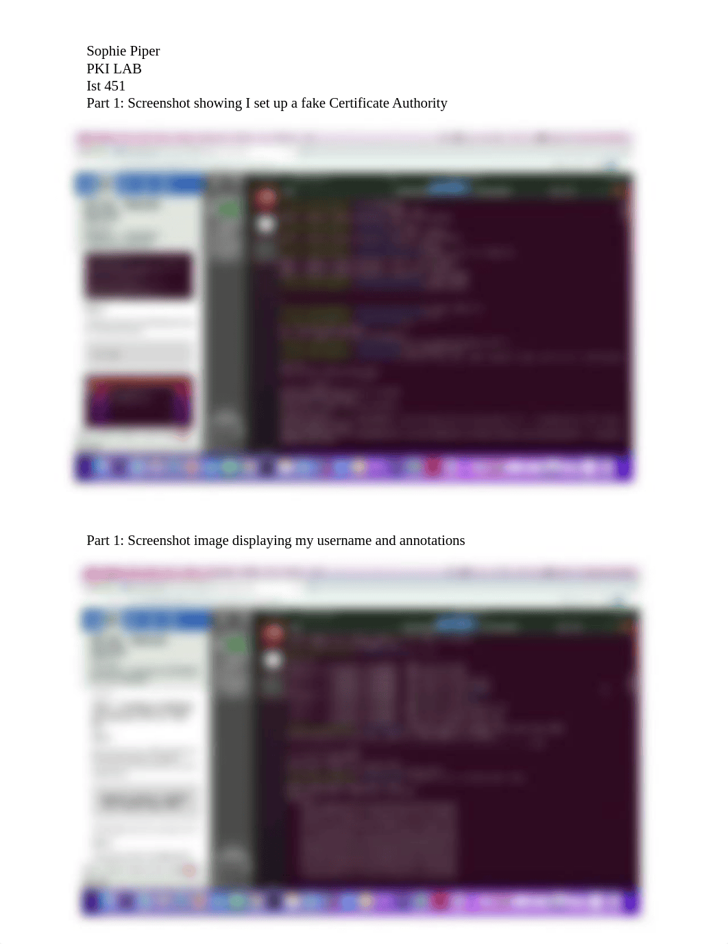 PKI lab unfinished Sophie Piper.docx_d52rccthsud_page1