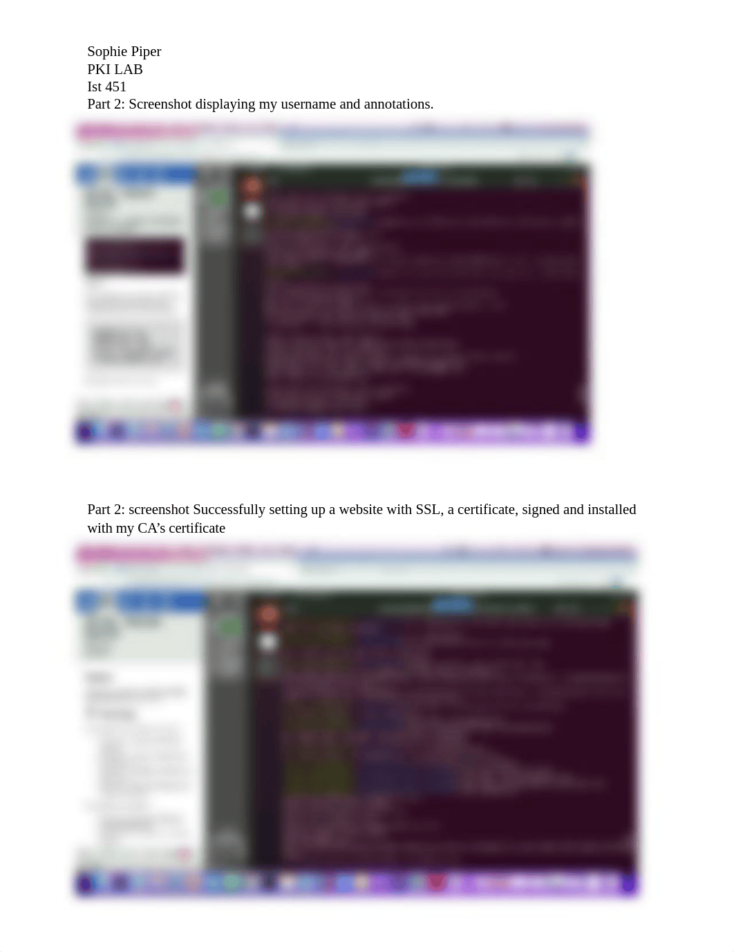 PKI lab unfinished Sophie Piper.docx_d52rccthsud_page2