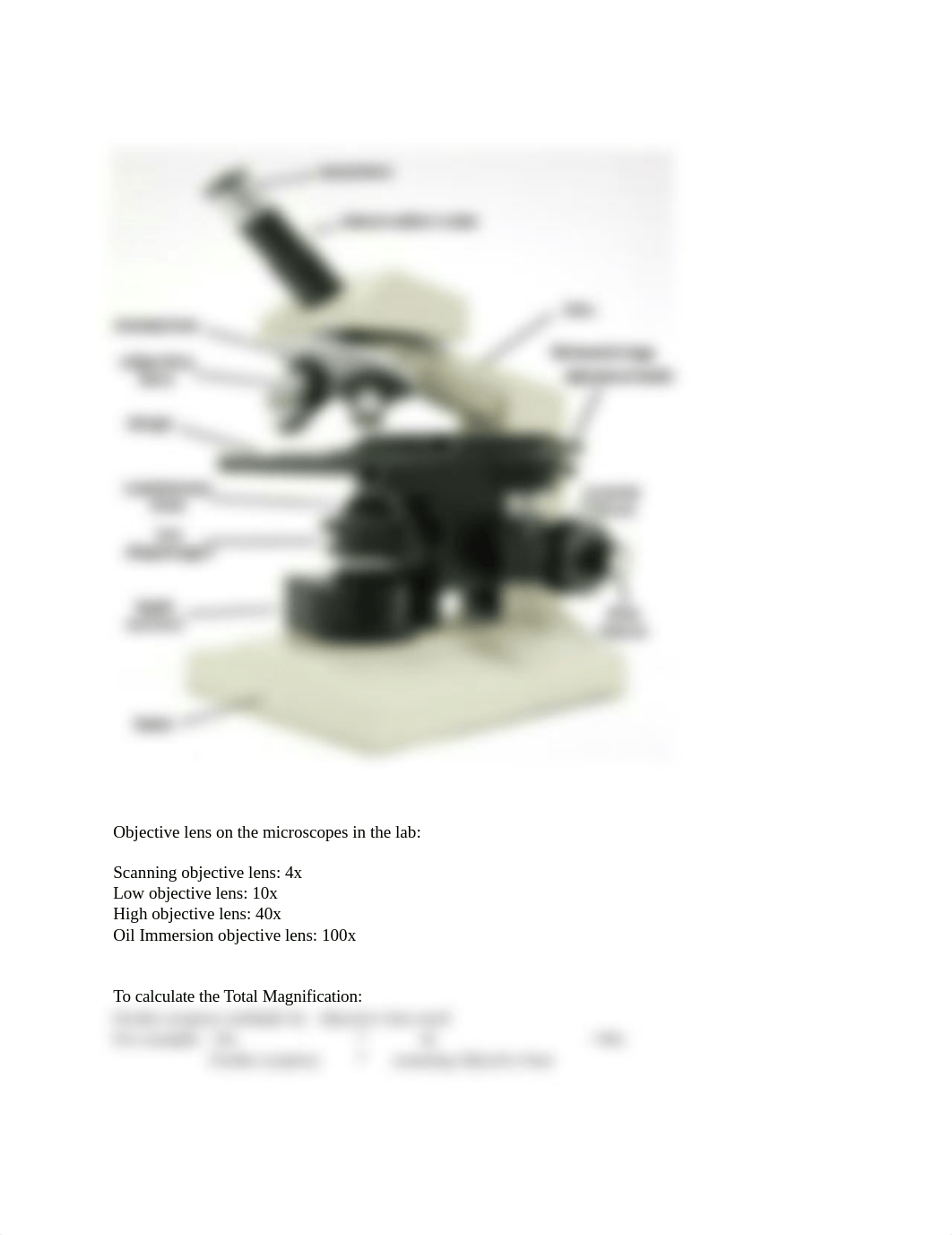 Microscope_structures_and_objective_lens.doc_d532fuo4zaa_page1