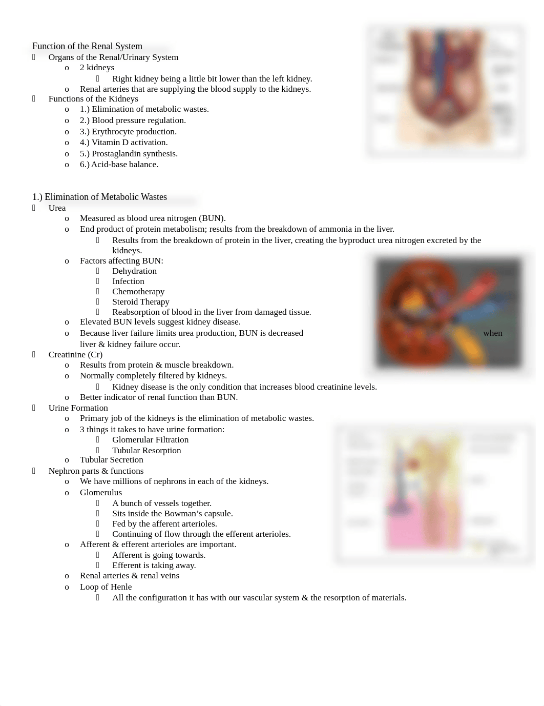 Renal System Outline.docx_d53g8re4kv1_page1