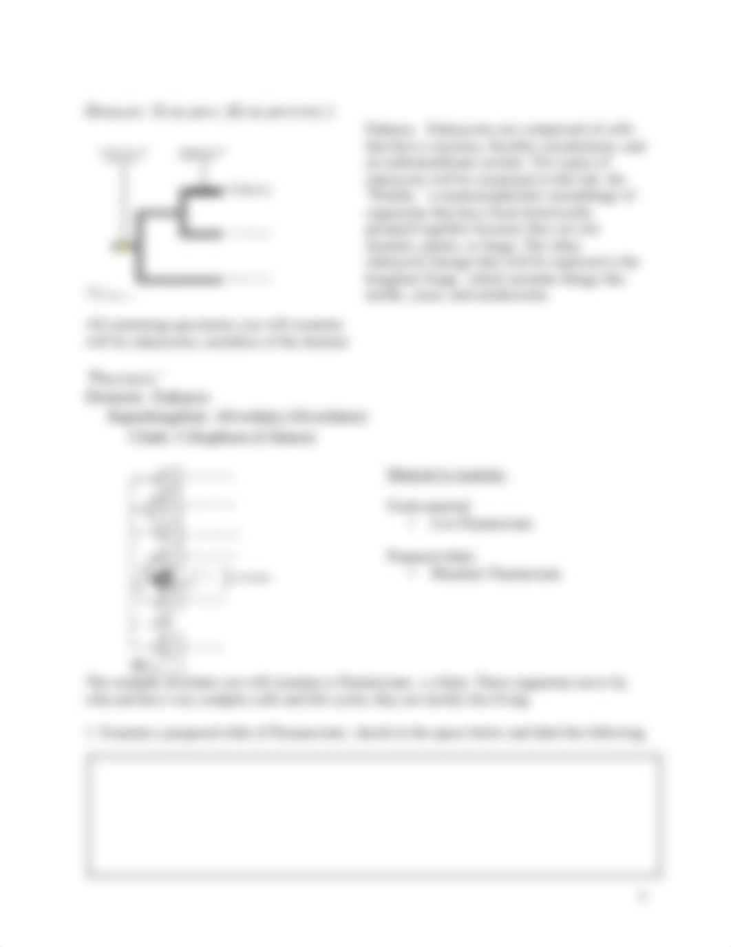 Microbe+Protist+Fungi+Diversity+Lab+S17.pdf_d53kdzyepqs_page3