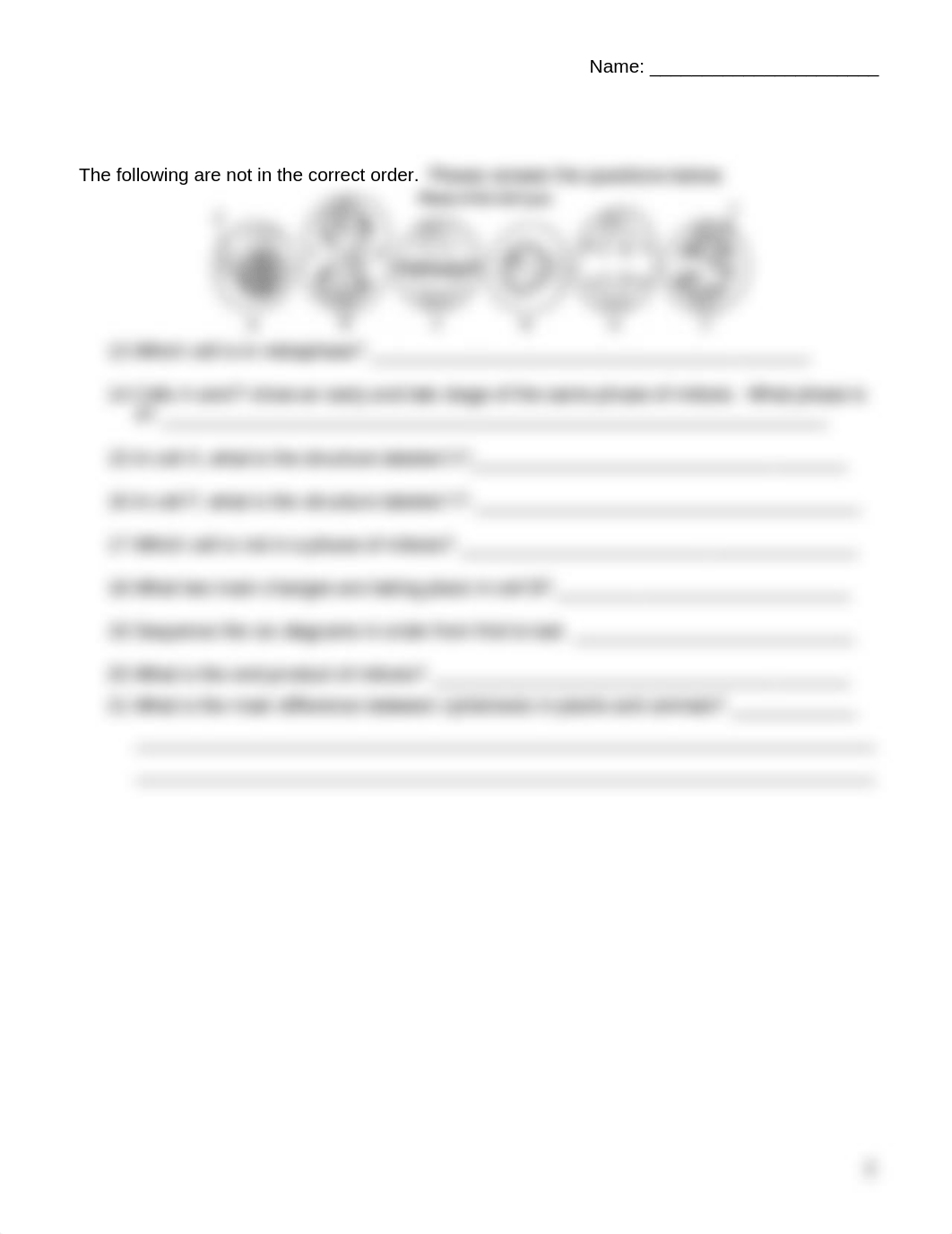 AG mitosis (1).docx_d53n6ednpfh_page2