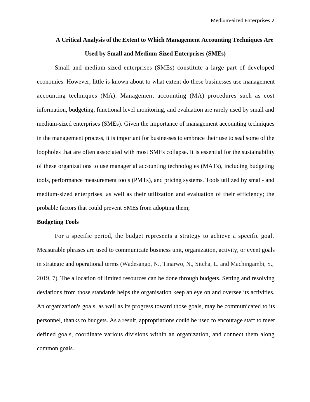 Small and Medium Sized Enterprises.edited (1).docx_d53o5gwhpv7_page2