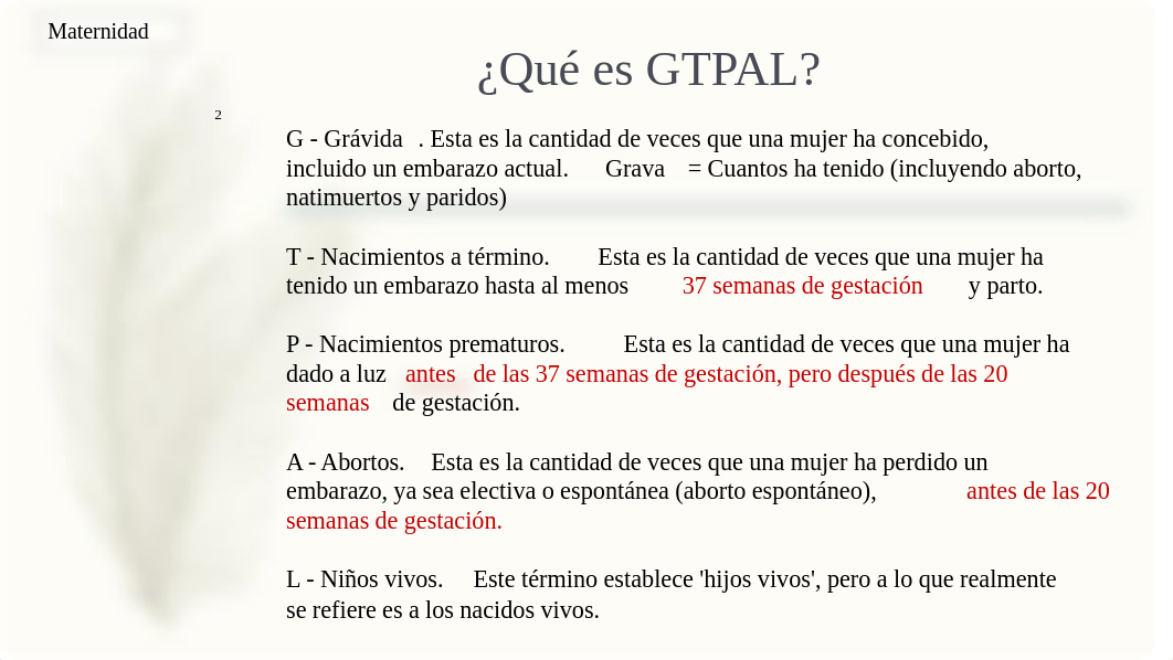 Regla-Neagle-GTPA.pdf_d53onac1c5j_page2