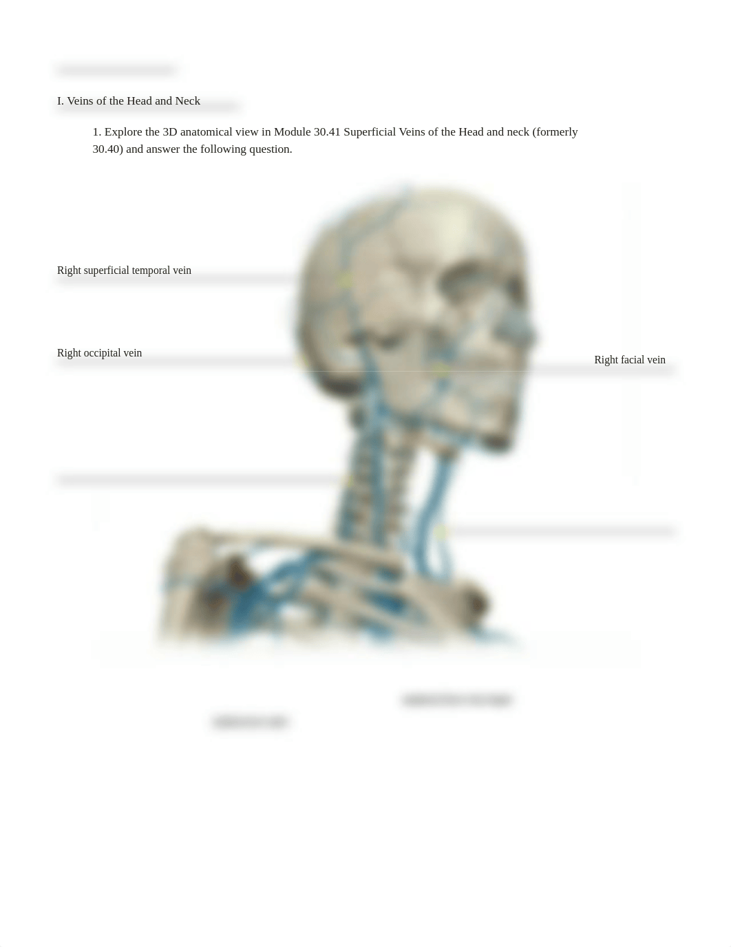 blood vessels part 3.pdf_d53u220w3dz_page2