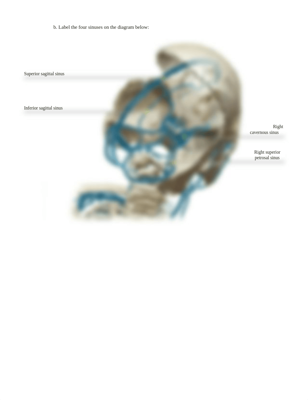 blood vessels part 3.pdf_d53u220w3dz_page5