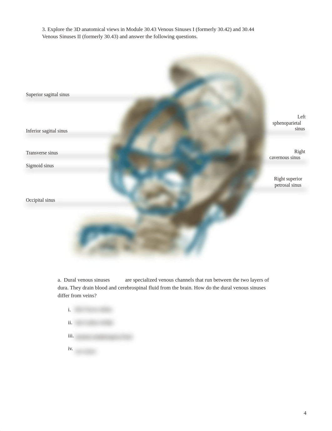 blood vessels part 3.pdf_d53u220w3dz_page4