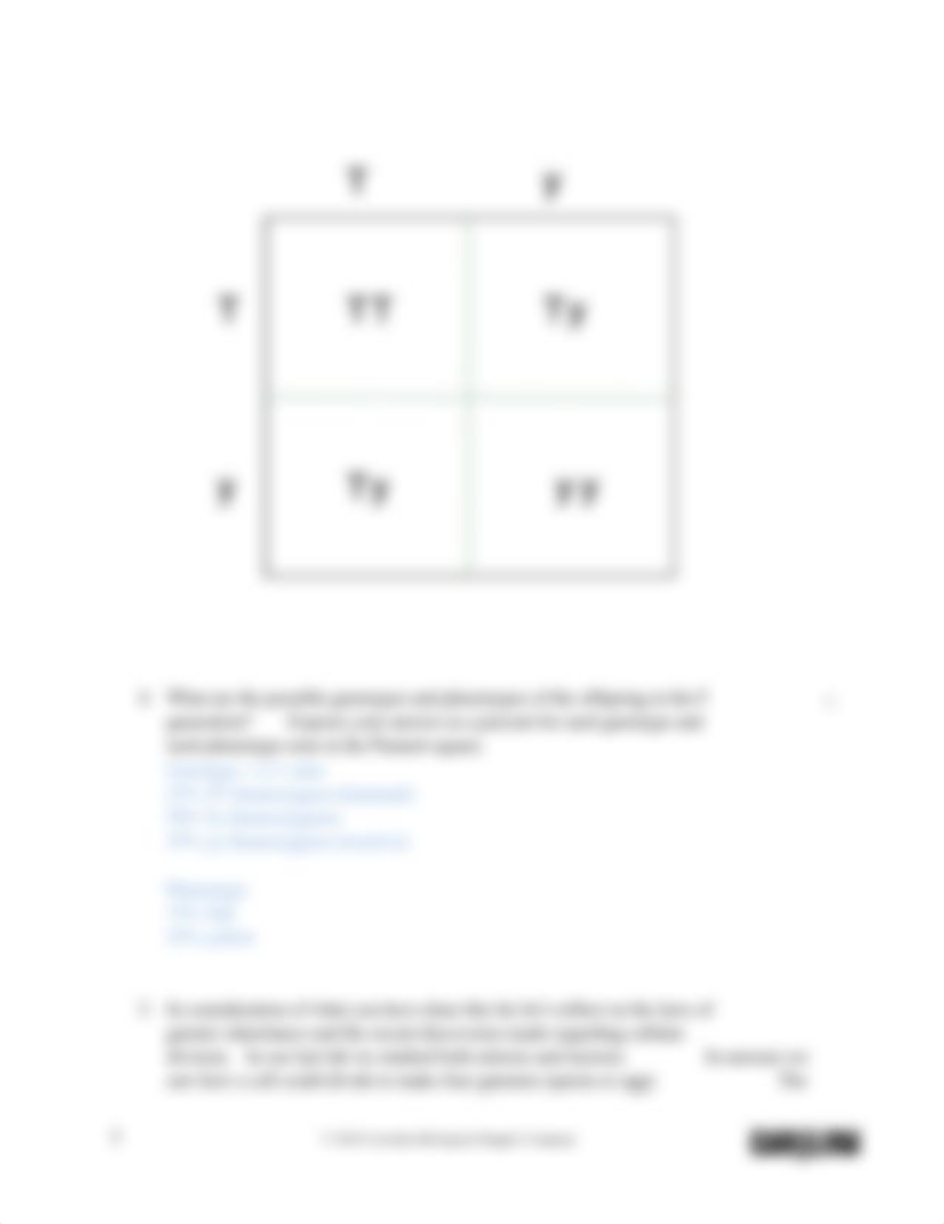 Lab_Report_Mendelian_Genetics (3).pdf_d53vcjfjhv9_page4