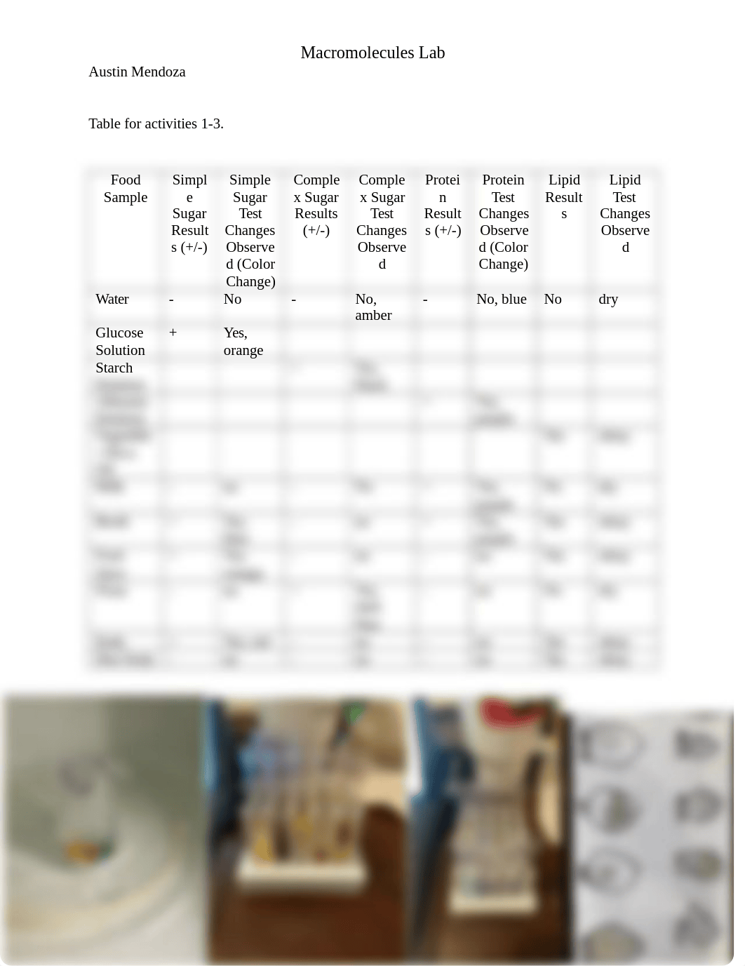 Macromolecules Labe - Austin Mendoza.docx_d53w263id8f_page1