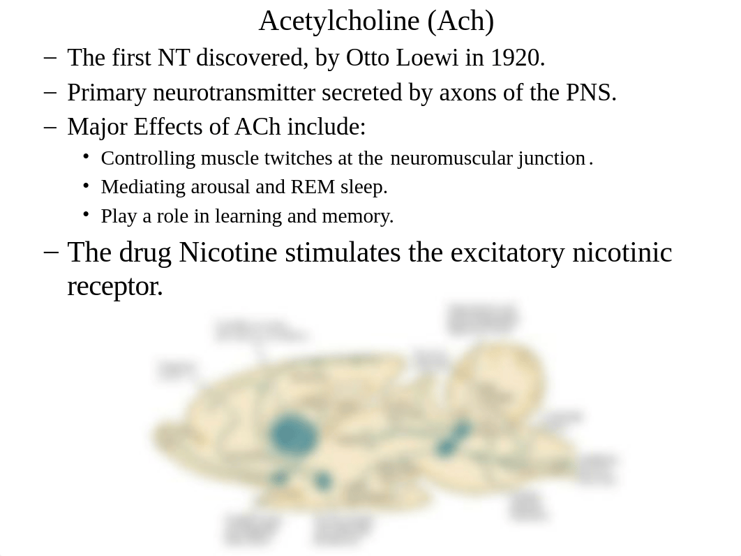 3.2___Neurotransmitters___Drugs (1)_d545supbfzz_page5