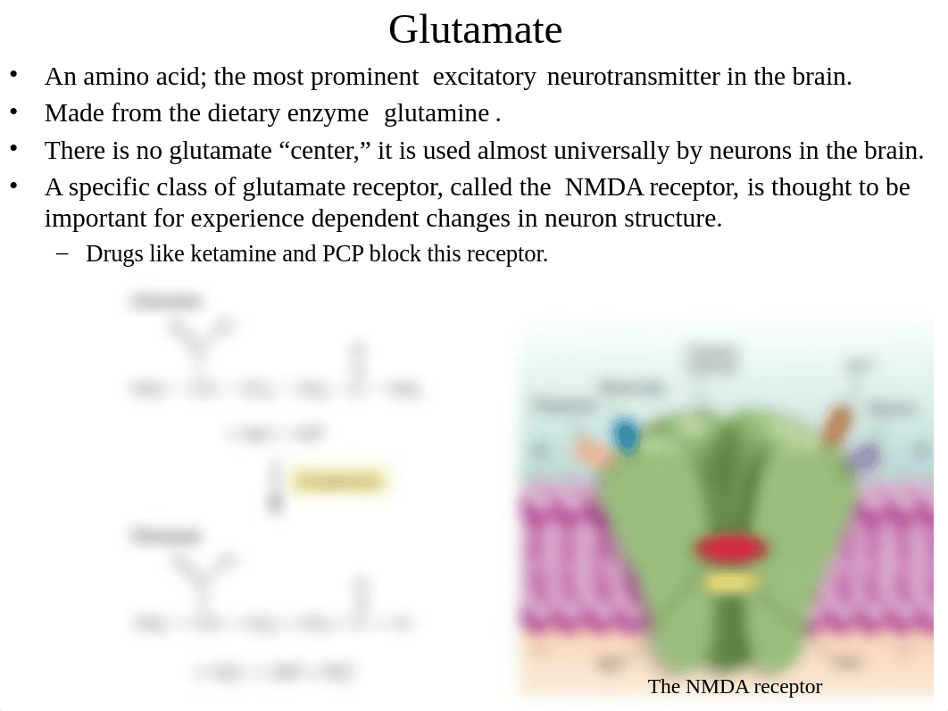 3.2___Neurotransmitters___Drugs (1)_d545supbfzz_page3