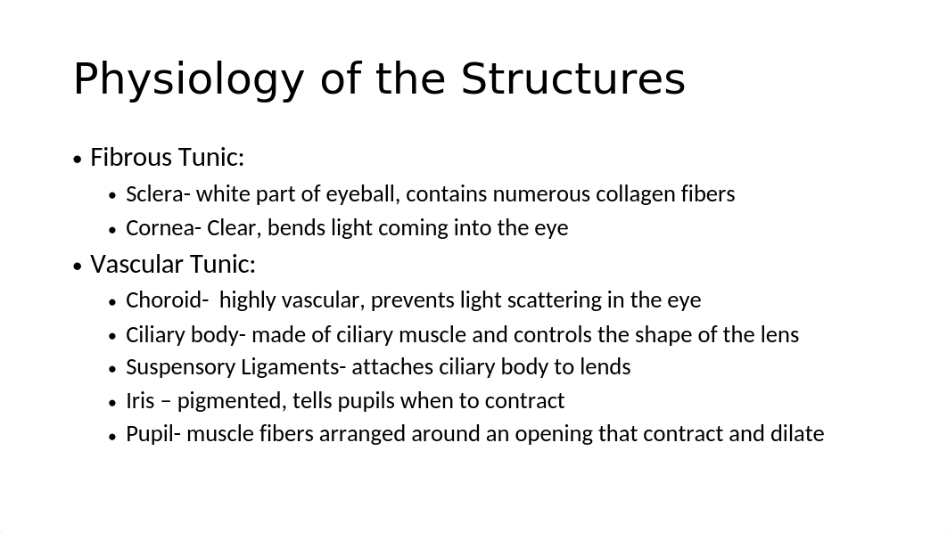 structure of eye.pptx_d54ev6gbq6w_page2