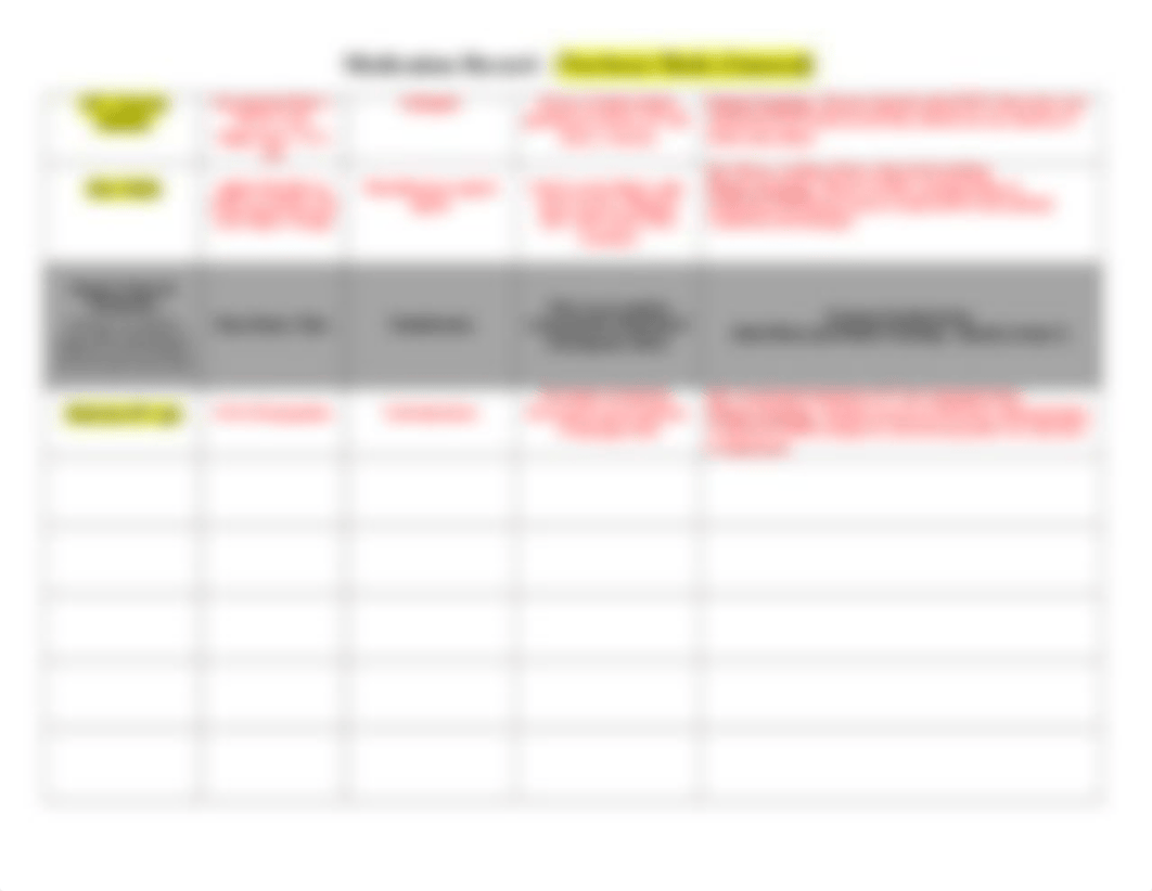 OB Newborn Medication Record.docx_d54fu9j3q78_page2