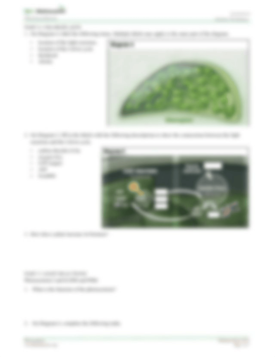 Photosynthesis-StudentWS-animation-1.pdf_d54gwk6yr2t_page3