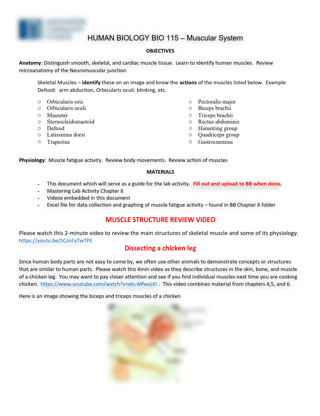 chapter 6 muscles lab.pdf_d54hlcp7lyq_page1