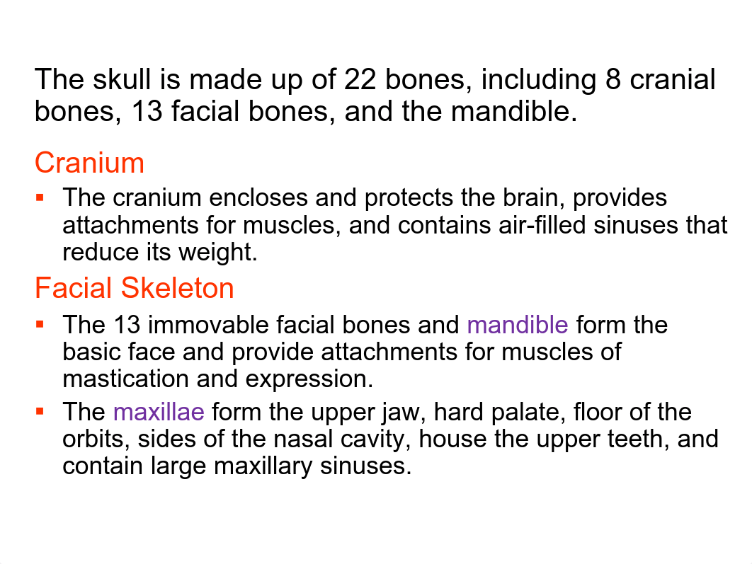 Bones of the Skull_d54kdmm9b1k_page4