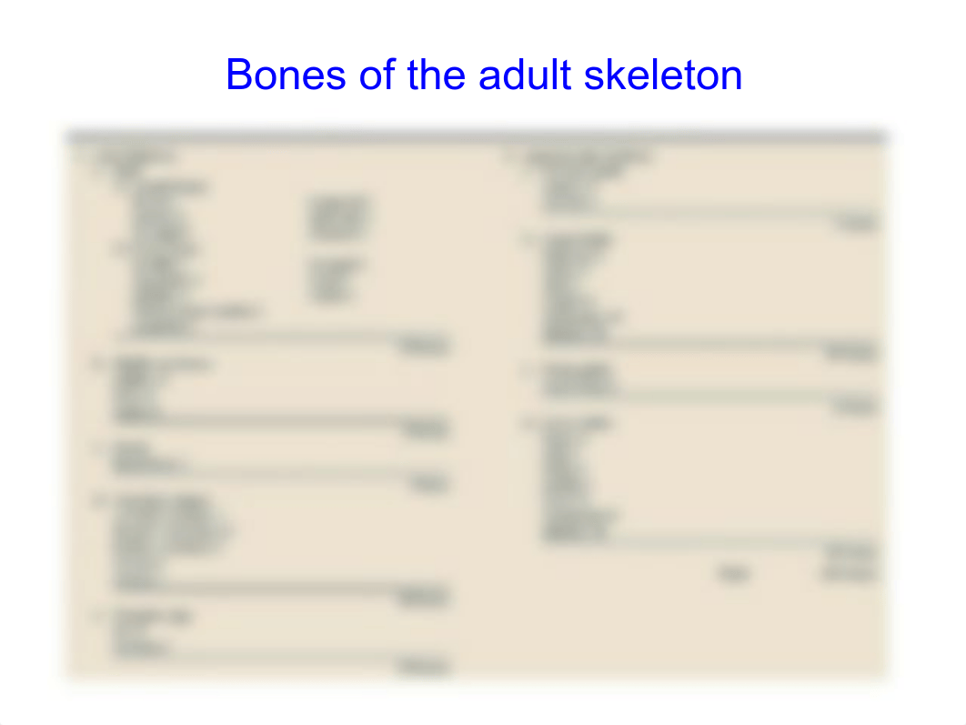 Bones of the Skull_d54kdmm9b1k_page2