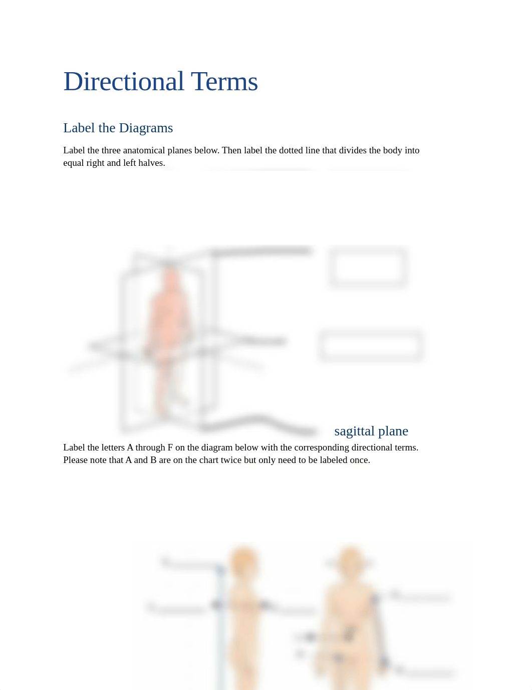 Ap A Directional Terms (1)-2.docx_d54nm57arpt_page1