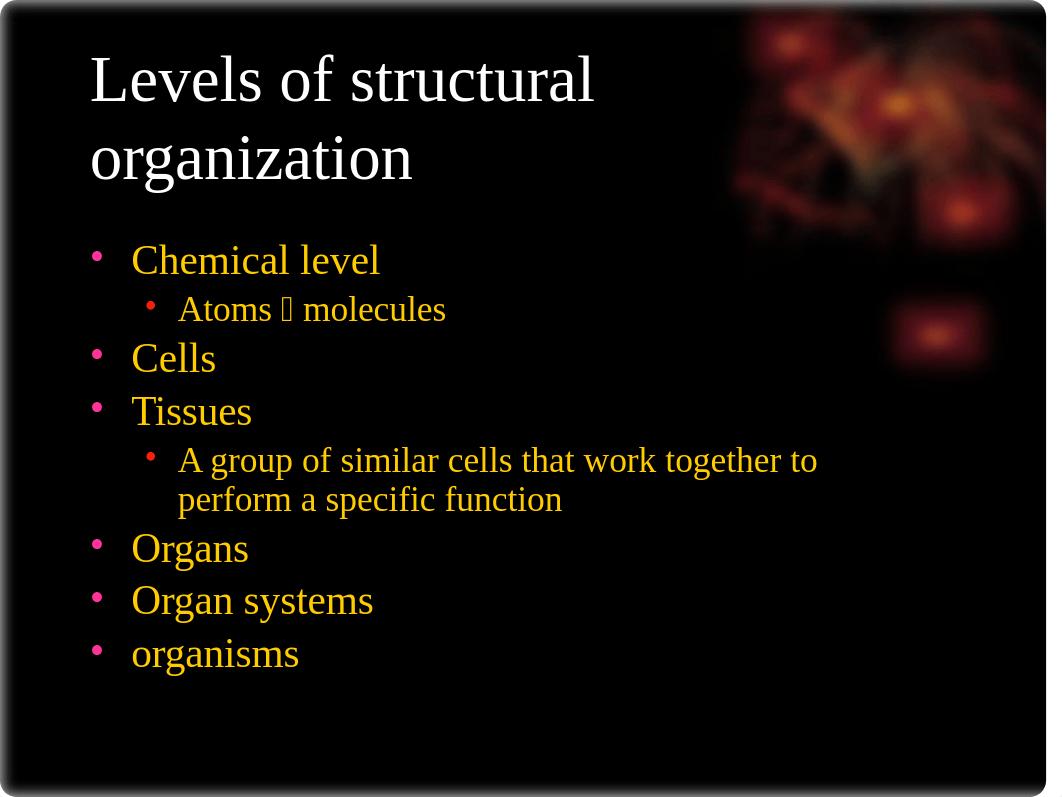 Chapter 1 introduction to human anatomy & physiolgy_d54skwiq9ek_page4