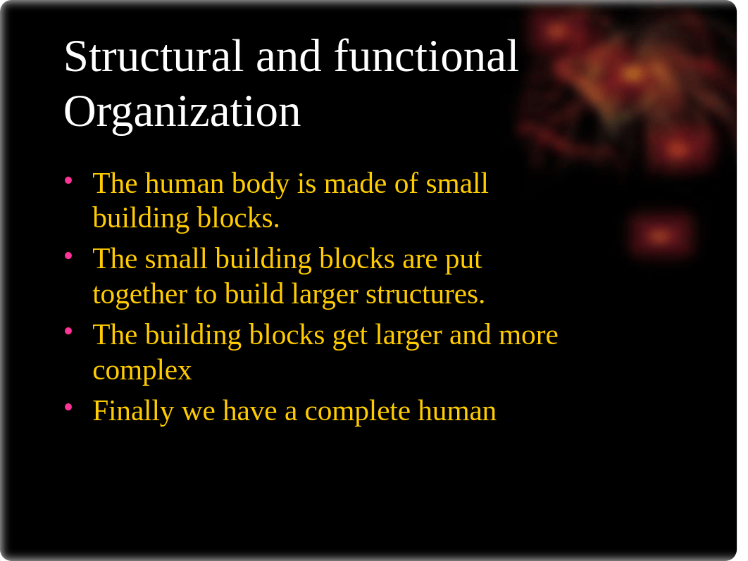 Chapter 1 introduction to human anatomy & physiolgy_d54skwiq9ek_page3