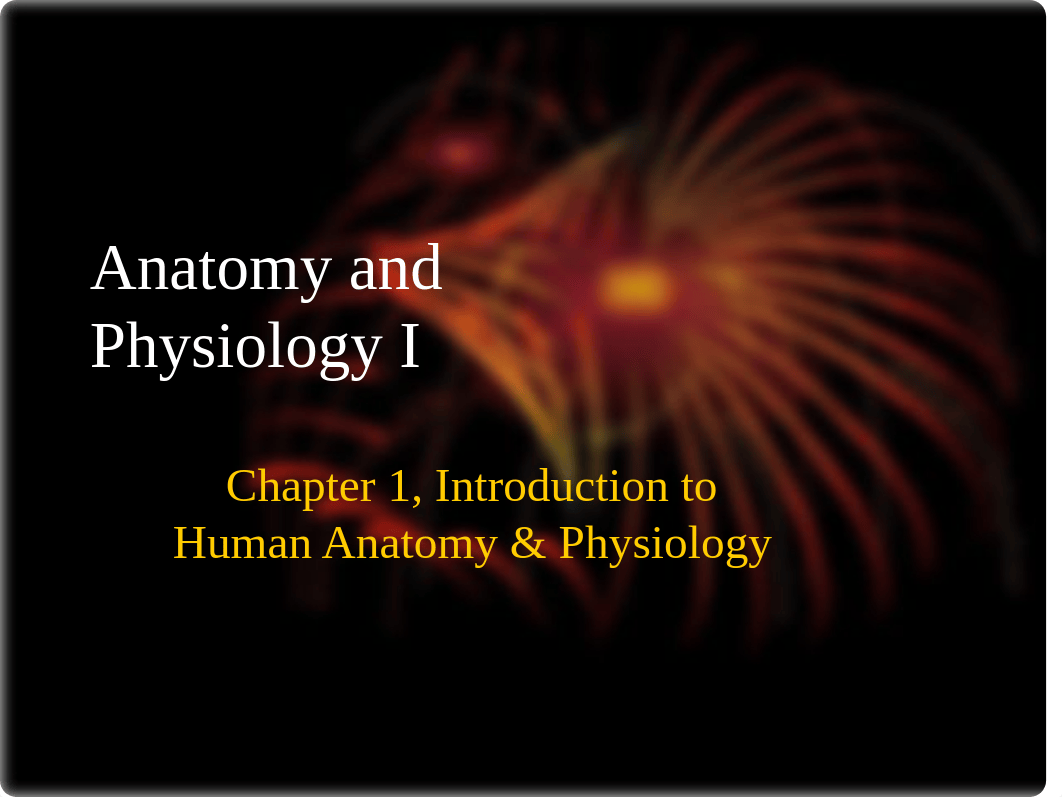 Chapter 1 introduction to human anatomy & physiolgy_d54skwiq9ek_page1