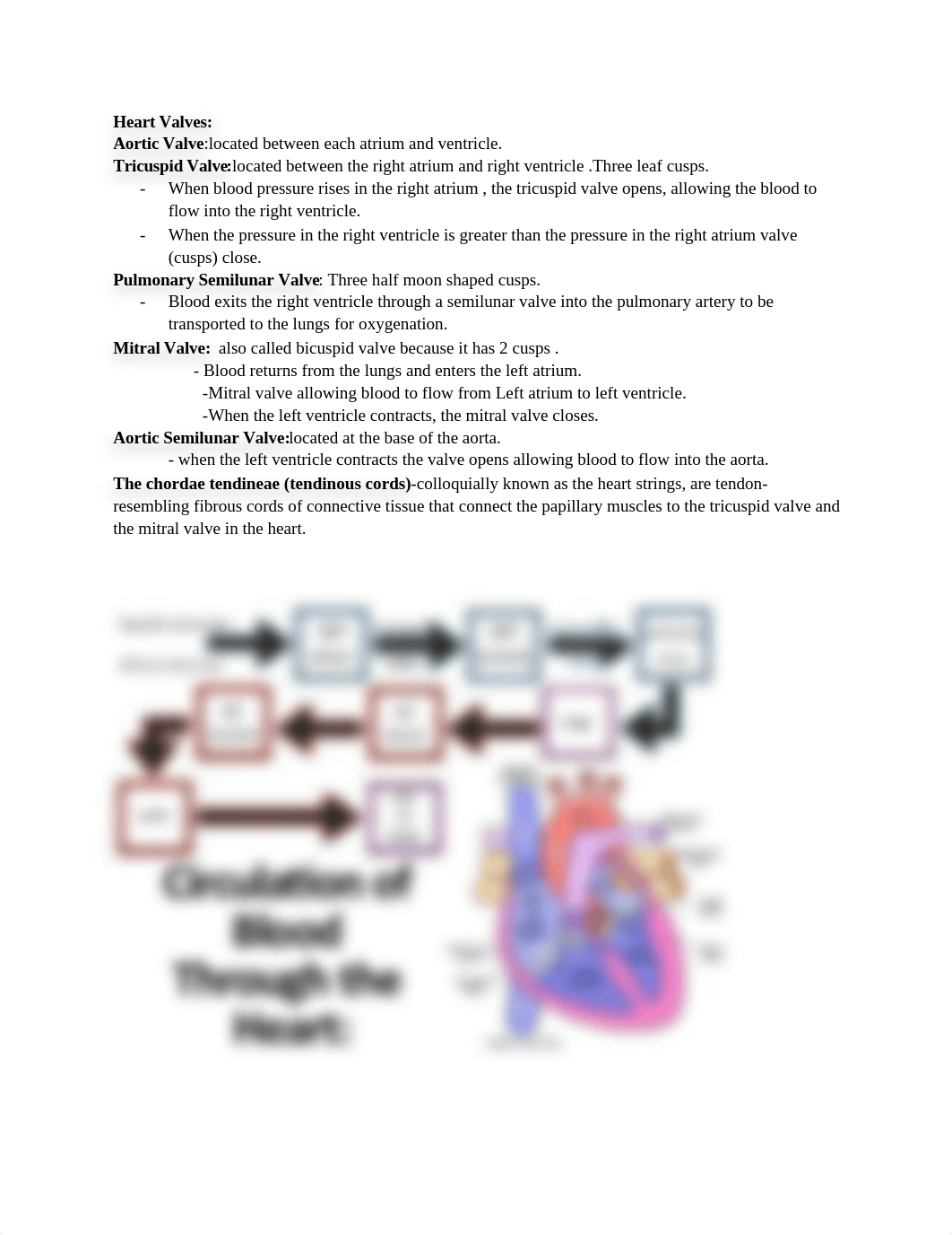 SRG 211 Guide.docx_d5532aej06g_page3