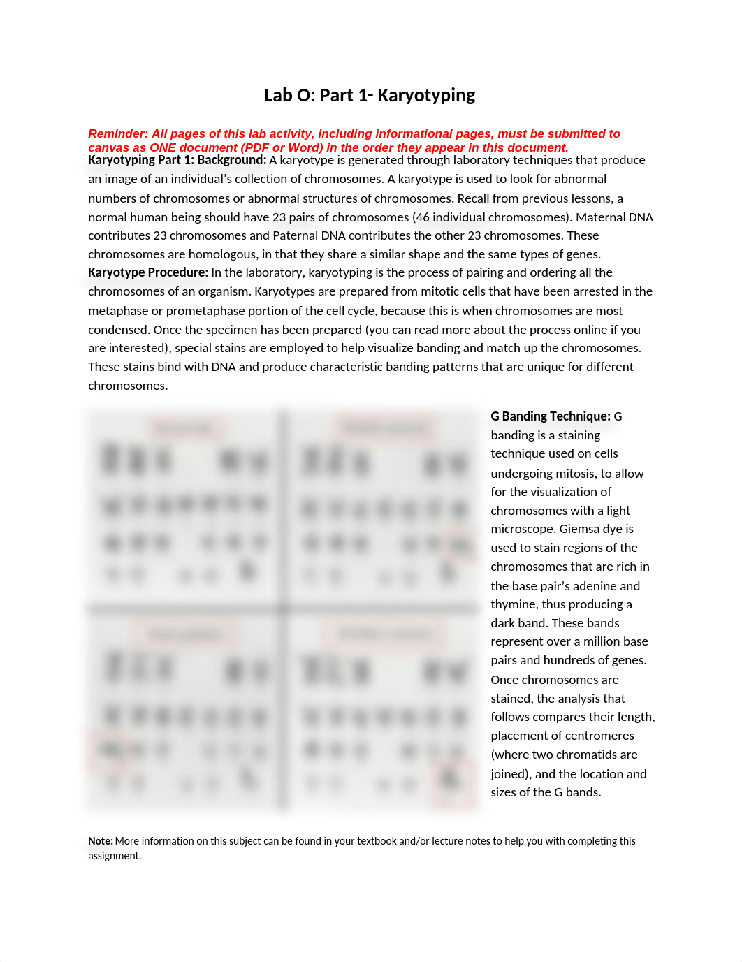 Lab O- Karyotyping and Biotechnology- Student Version- Updated 11-2021 (1) (1).docx_d55c2wyo0e4_page1