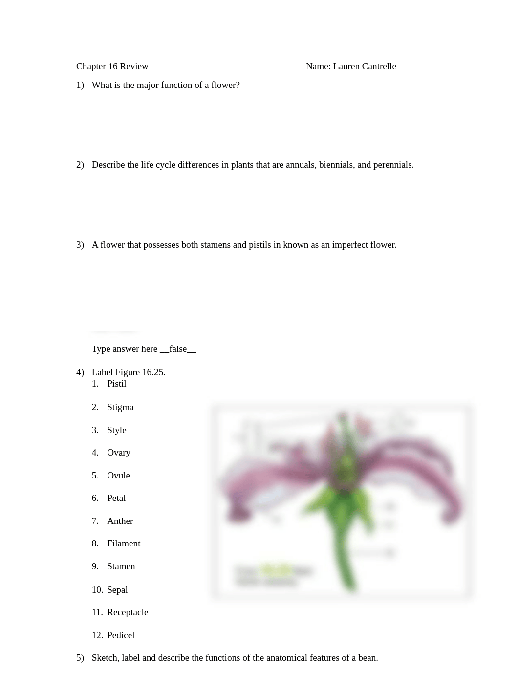 BIOL156 LAB_Chapter 16 Review (1).pdf_d55c6dwikc4_page1