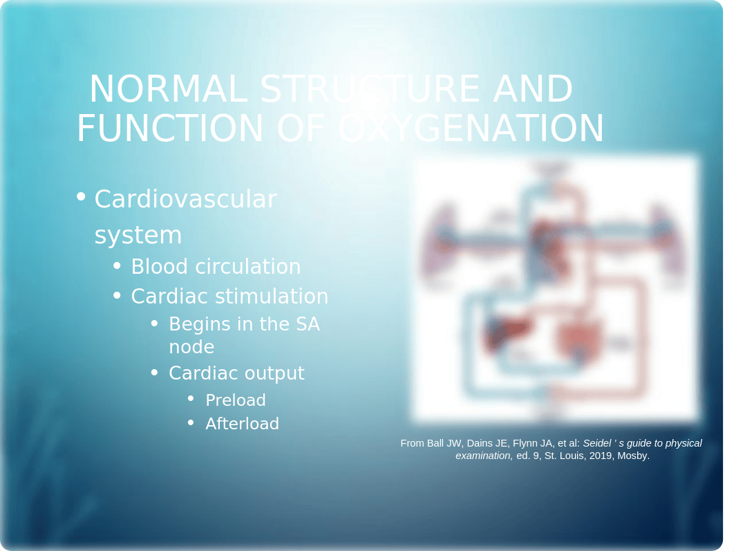 Chapter_038 Oxygenation and Tissue Perfusion.pptx_d55ck26kqxy_page5