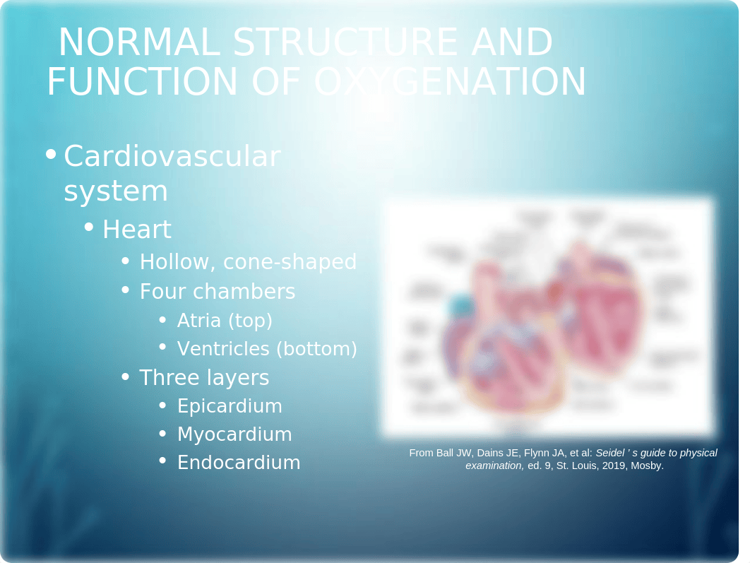 Chapter_038 Oxygenation and Tissue Perfusion.pptx_d55ck26kqxy_page4