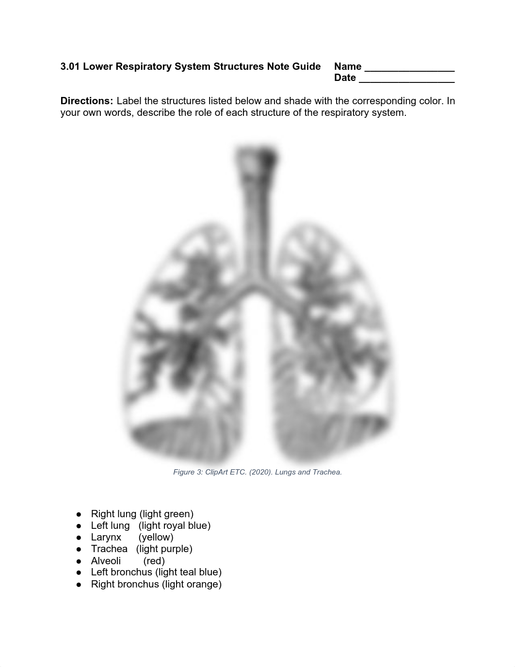 _3.01 Handouts.pdf_d55jn2ntx03_page4