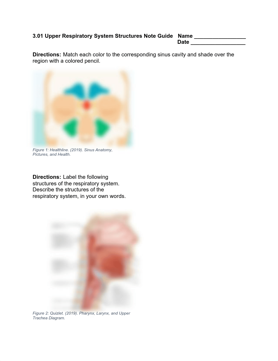 _3.01 Handouts.pdf_d55jn2ntx03_page3