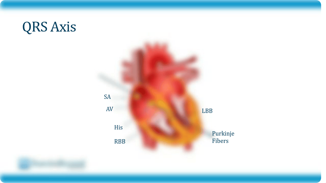 CardiologySlides-23C-2020 (1).pdf_d55p978e1zc_page4