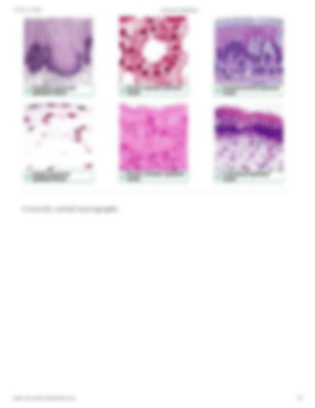 Microscopy - Epithelial Tissue Histology.pdf_d562aw7livy_page3