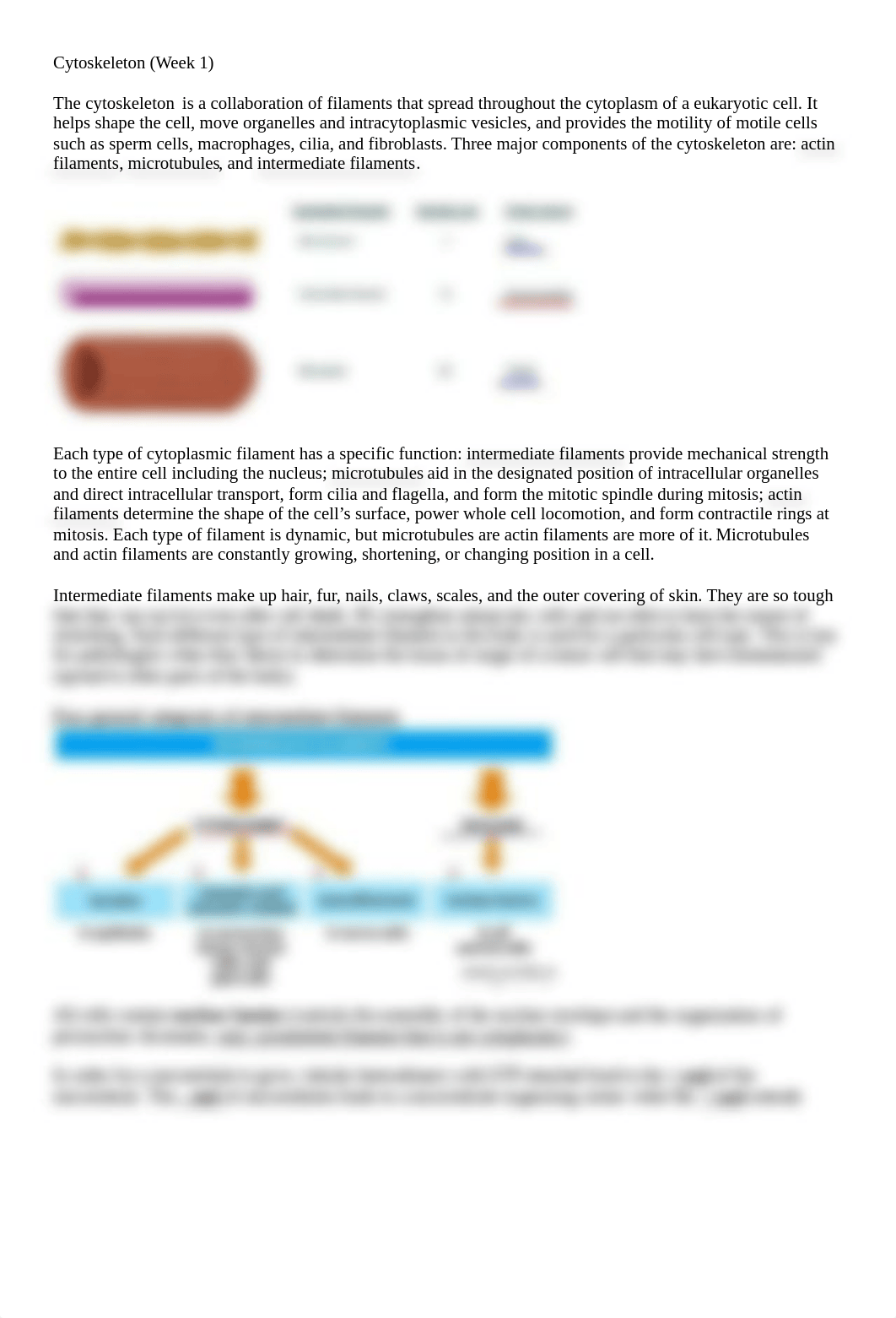 Cytoskeleton.docx_d564xijt6xu_page1