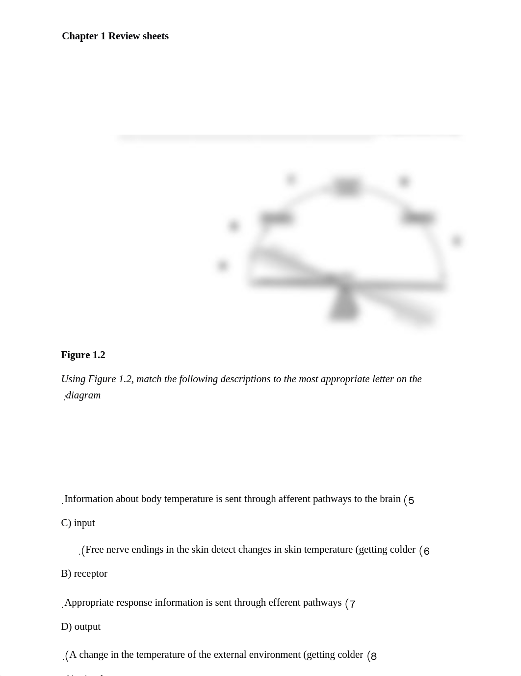 ch_01_worksheets answer.docx_d5690o28fn5_page2