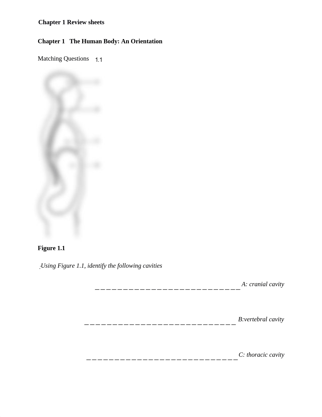 ch_01_worksheets answer.docx_d5690o28fn5_page1