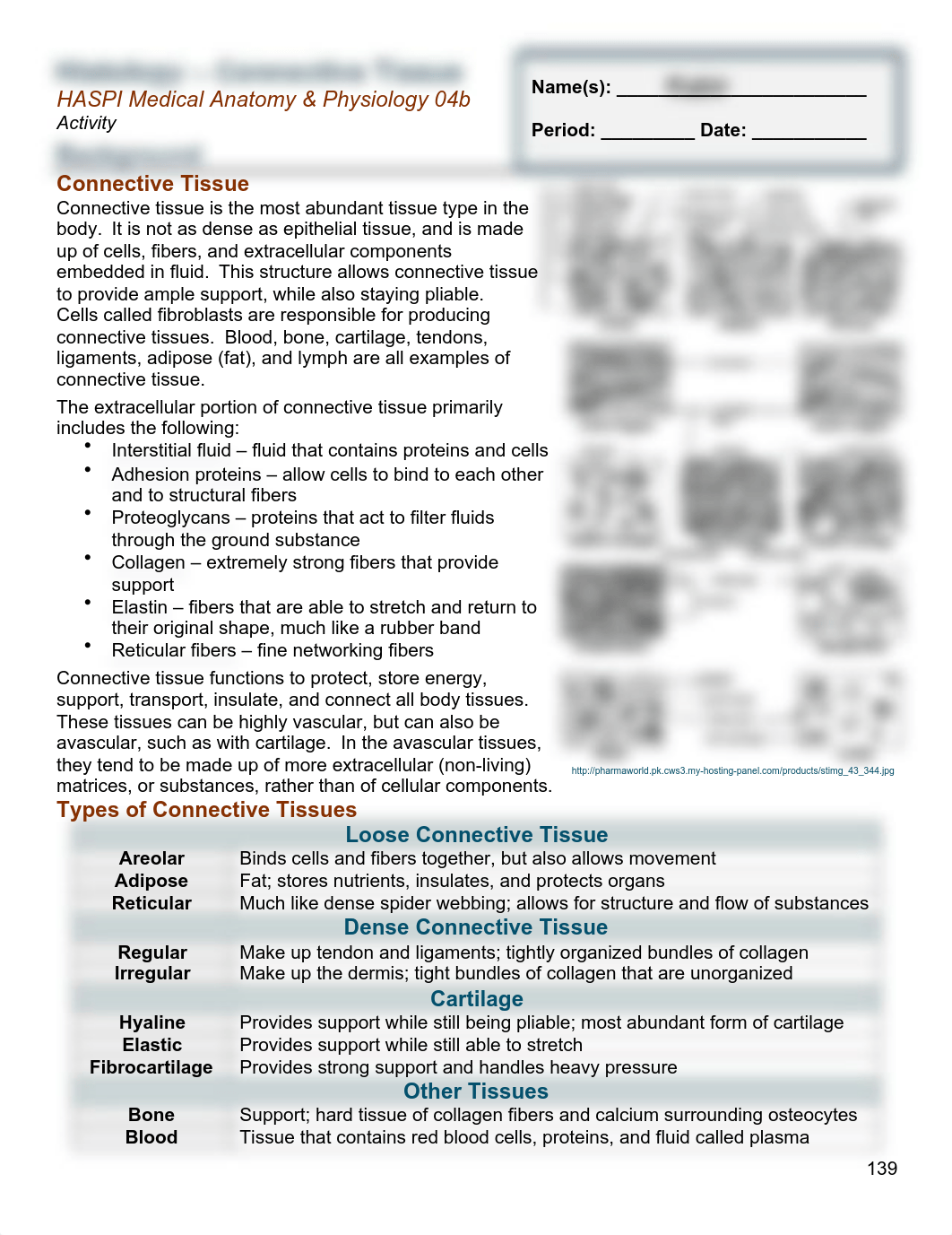 04b_connective_tissue_questions copy.pdf_d56bk2vttzs_page1