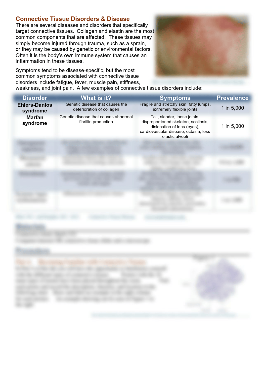 04b_connective_tissue_questions copy.pdf_d56bk2vttzs_page2