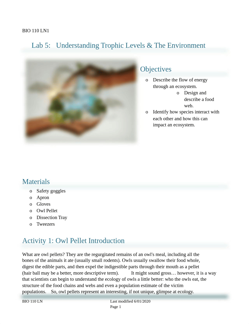 Jenny Duke-Lab 5 Understanding Trophic Levels and The Environment .docx_d56mgly4dwb_page1