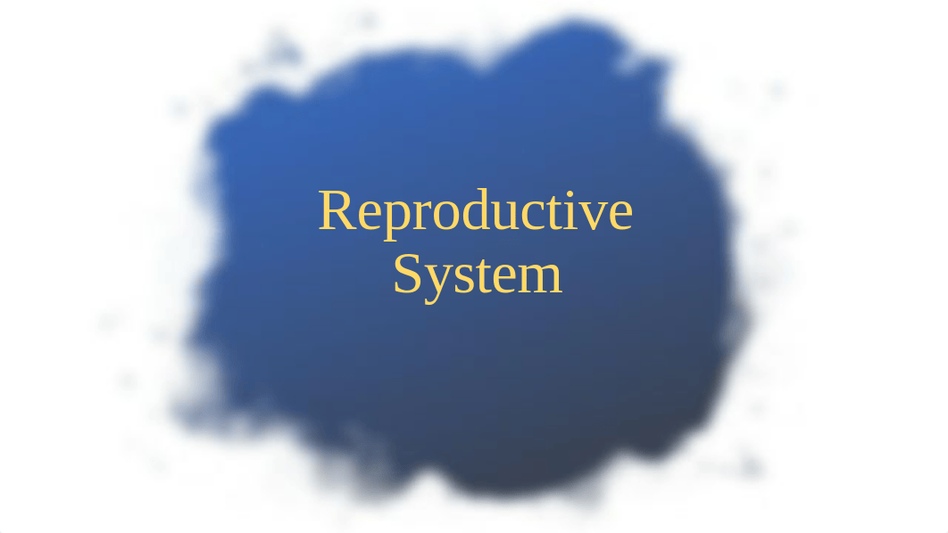 Female Reproductive System.pdf_d56nqlxe5nj_page1