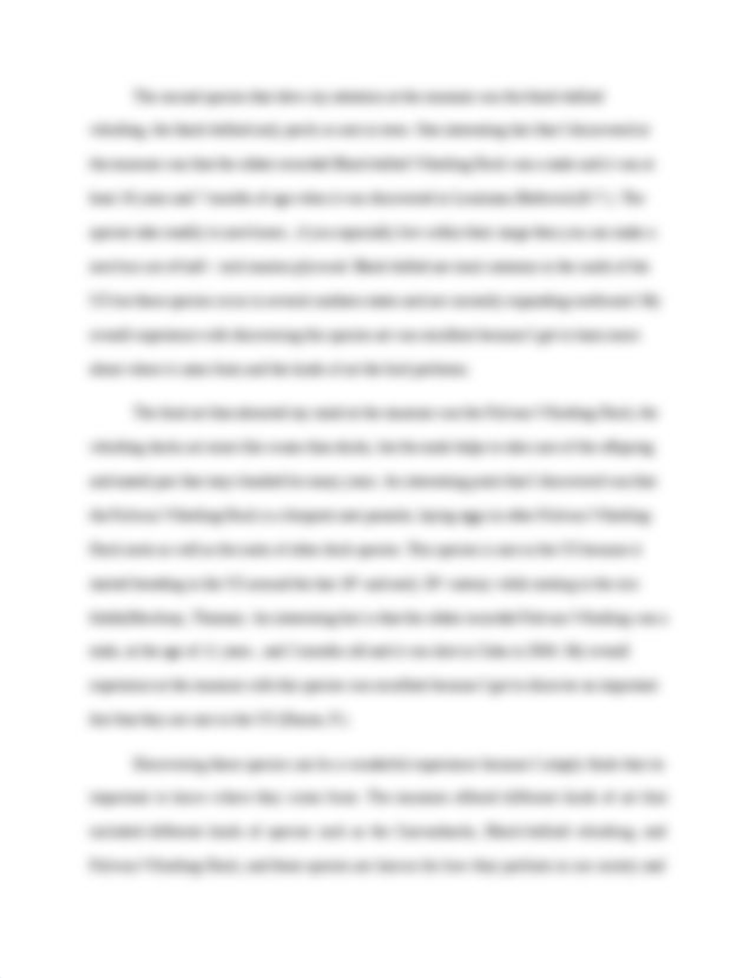 Art Museum Essay.docx_d56nrogafzi_page3