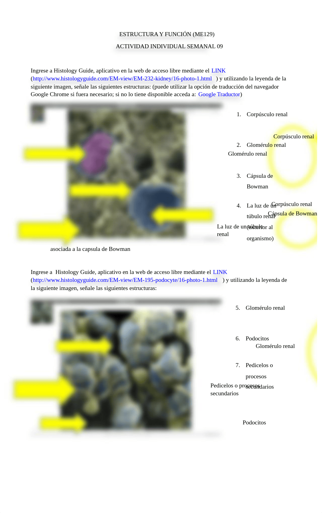 202102 ME129 EyF TAREA Sem09 25.docx_d56oke6bd64_page1